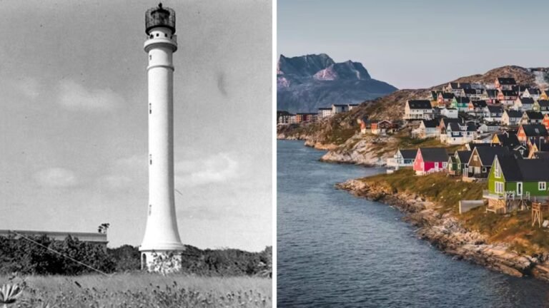 Beige And Green Minimalist Photo Collage Daily Vlog YouTube Thumbnail