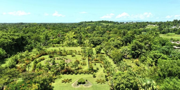 Le Jardin botanique des Cayes fermé, pillé et fragilisé par un conflit foncier