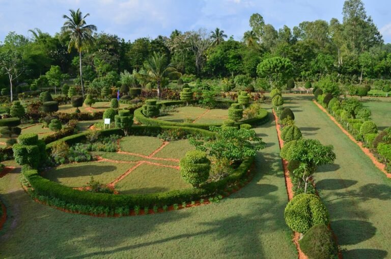 Haïti brûle son dernier sanctuaire vert
