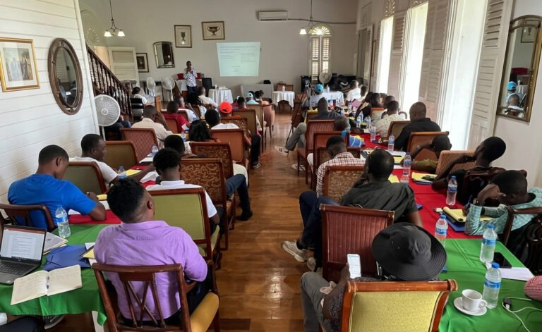 Jacmel : Quarante journalistes formés par le CEP sur la gestion de l’information électorale