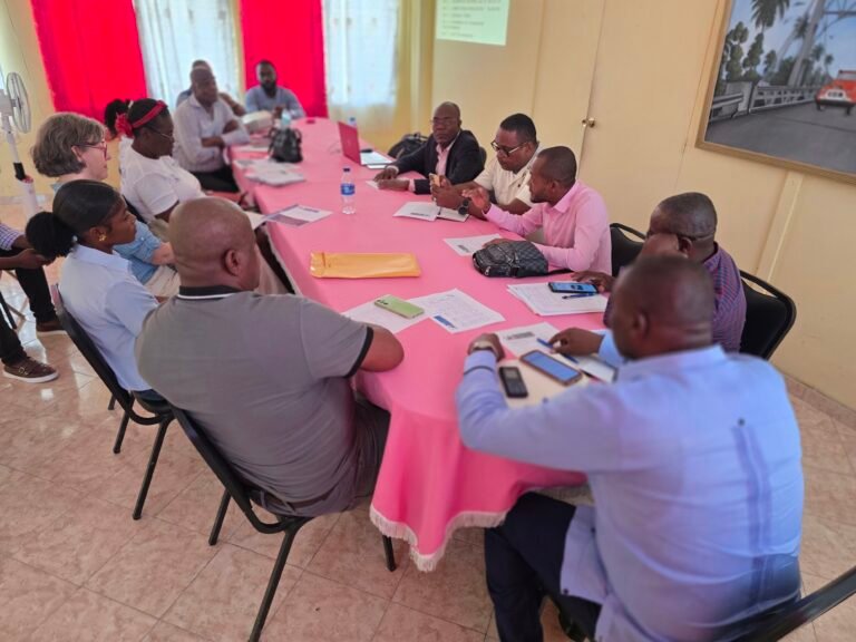 Grand’Anse : Vers la mise en place d’un réseau départemental de la CNDDR